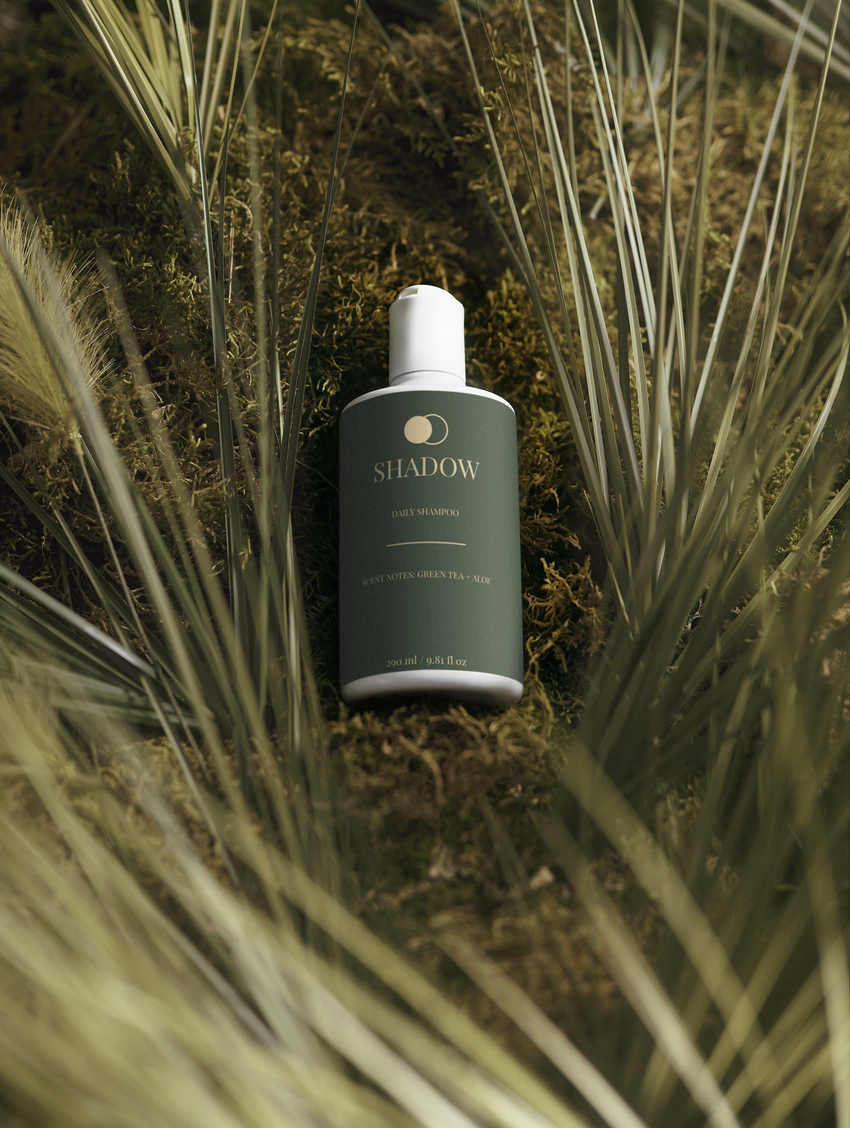 Daily Shampoo