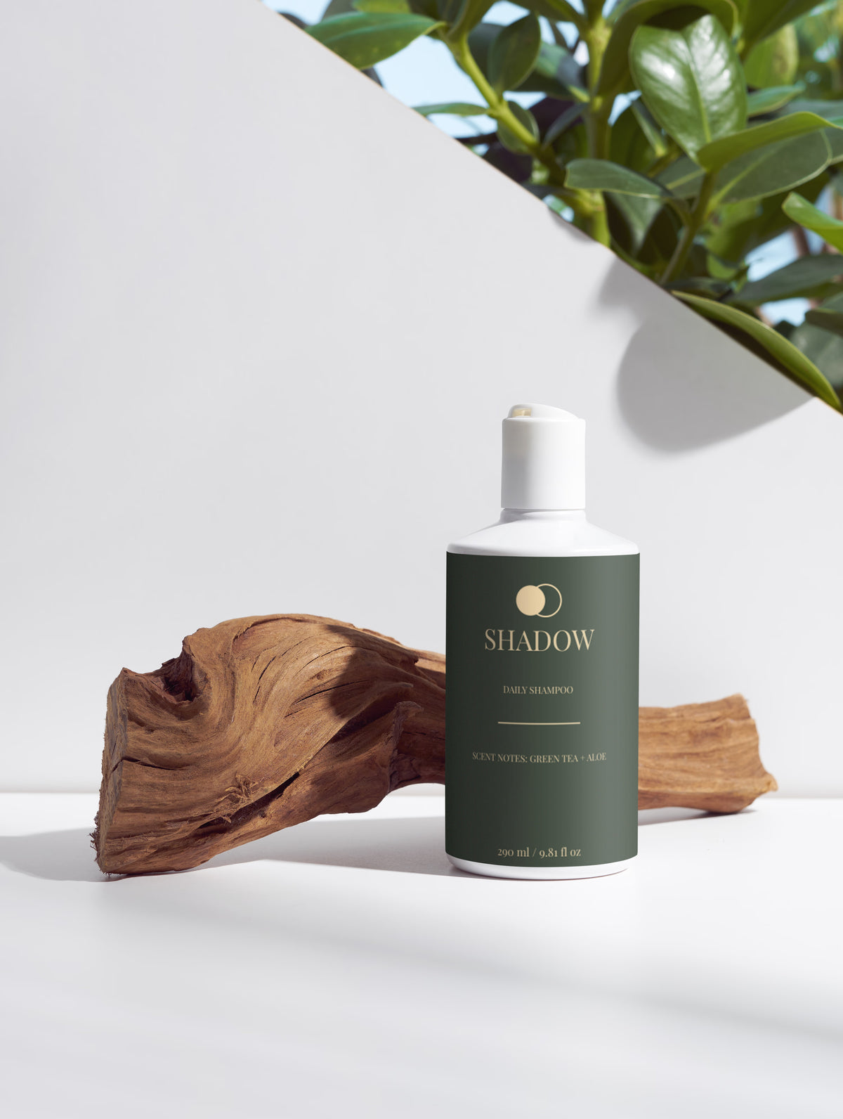 Daily Shampoo